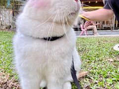 -云栖山谷野奢营地