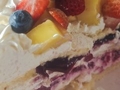 -维尔纳斯·生日蛋糕动物奶油冰淇淋蛋糕(人大店)