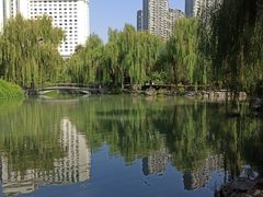 -西苑公园