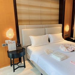 -明宇集团·积木枝芽母婴健康管理中心(天府店)