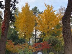 -南京双门楼宾馆(盐仓桥地铁站阅江楼店)