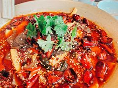 -辛香汇·现炒川菜(淮海路百盛店)