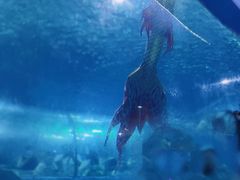 -苏州海洋馆
