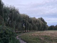 -东坝千亩湖公园