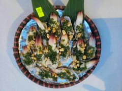 什锦海螺-越海渔村