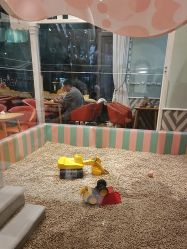 -奈尔宝·儿童乐园·亲子餐厅(星河湾店)