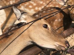 -祥源·阜阳生态乐园