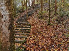-龙苍沟森林公园