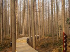 -上海怡沁园度假酒店