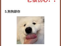 -美联众合动物医院·24h转诊中心