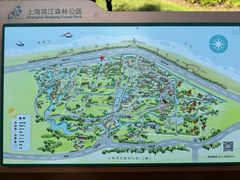 -上海滨江森林公园
