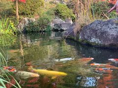 -有栖山 清光院 清水寺
