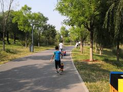-东郊湿地公园