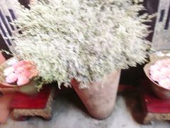 景观位-花马天堂云南餐厅 Lost Heaven(高邮路店)