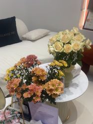 -WENDY·温迪皮肤管理