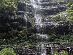-碧峰峡风景区