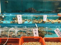 水产区-新享乐海鲜(翠华路店)