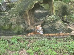 -杭州野生动物世界