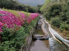 -山叶口景区
