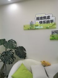 -凡碧诗毛孔清洁收细