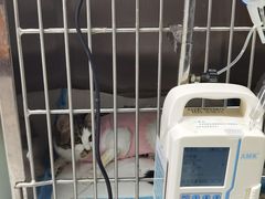 -达爱动物医院·犬猫分区·CT·复杂眼科(远洋山水分院)