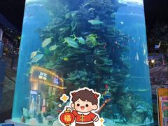 -蓬莱欧乐堡海洋极地世界
