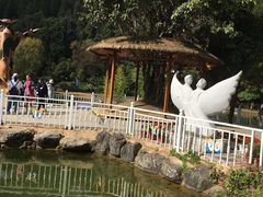 -蝴蝶泉公园