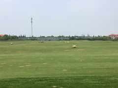 -棕榈滩海景高尔夫俱乐部