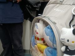 -马栏山(地铁站)