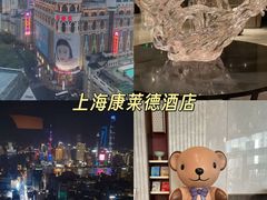 -上海雅居乐万豪侯爵酒店