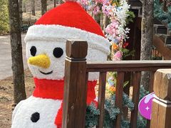 -洛阳白云山景区