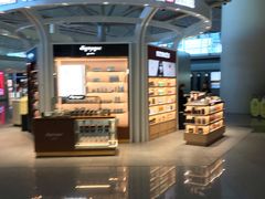 -华盛顿杜勒斯国际机场