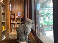 -隅cafe(傅厚岗店)