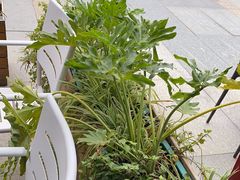 -时间仓(月湖公园店)