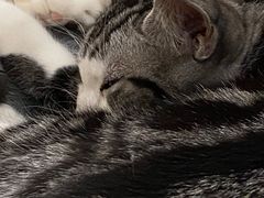 -情忆草原涮肉馆