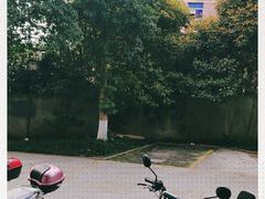 -肚子铺羊蝎子火锅