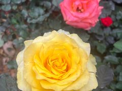 -人民公园(罗湖区)