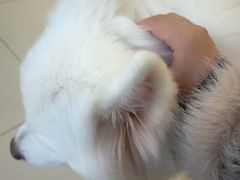 -怪兽屋·羊驼·猫咖·狗咖(俊华广场店)