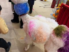 -北京世纪金源购物中心(远大路店)