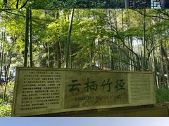 -云栖竹径