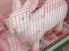 -岳合轩老北京涮肉