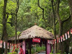 -黄山翡翠谷景区