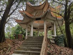 -旗岭森林公园