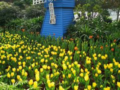 -南宫五洲植物乐园