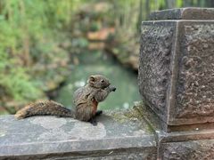 -三苏祠