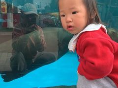 -海合安成都极地海洋公园