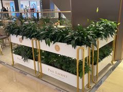 -PAUL LAFAYET 法式甜品(港汇广场店)