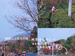 -樱桃山旅游景区