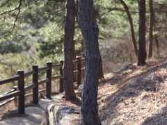 -北京十三陵国家森林公园蟒山景区