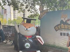 -柴犬高等学院·狗咖·柴犬售卖·宠物训练